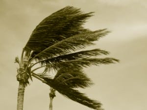 Hurricane Season Arrives